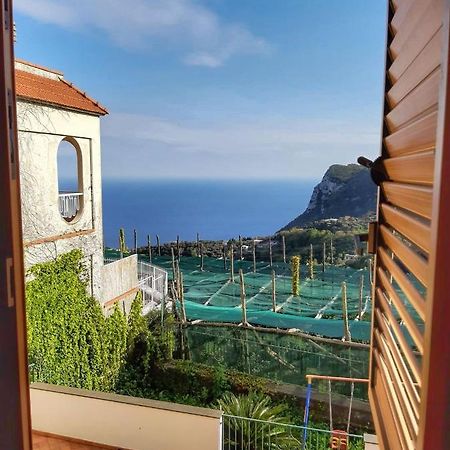 Villa Mariel Suites & Apartment Massa Lubrense Kamer foto