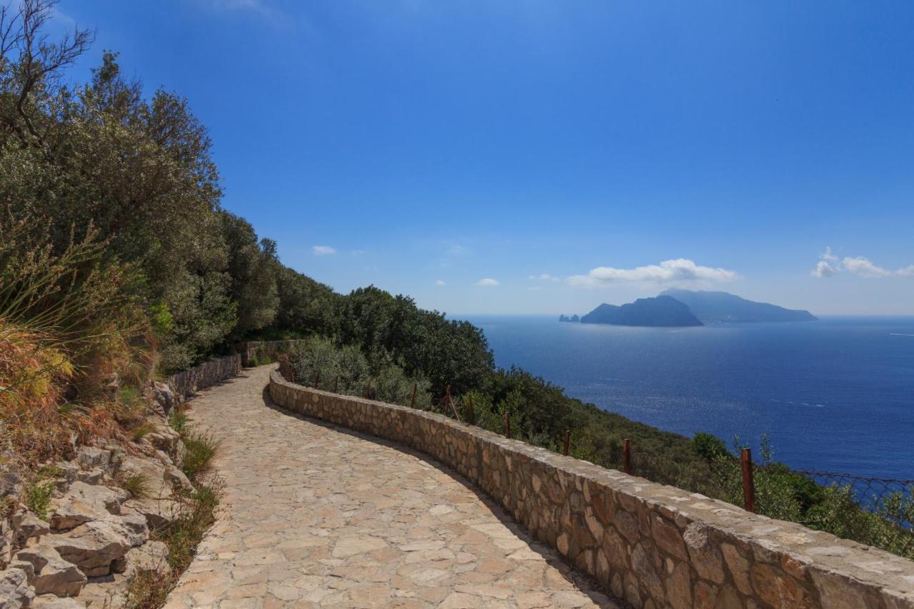 Villa Mariel Suites & Apartment Massa Lubrense Buitenkant foto
