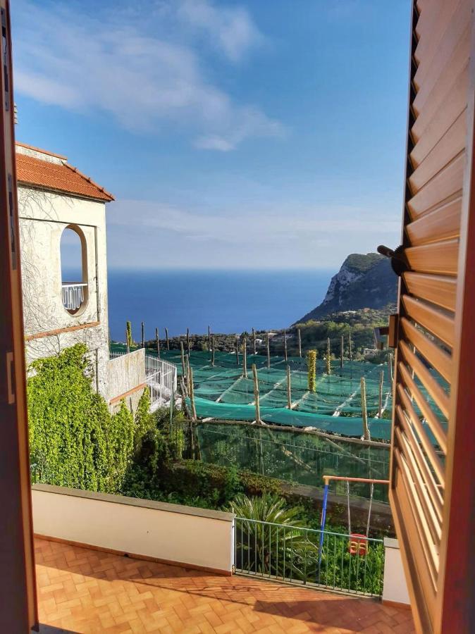 Villa Mariel Suites & Apartment Massa Lubrense Kamer foto