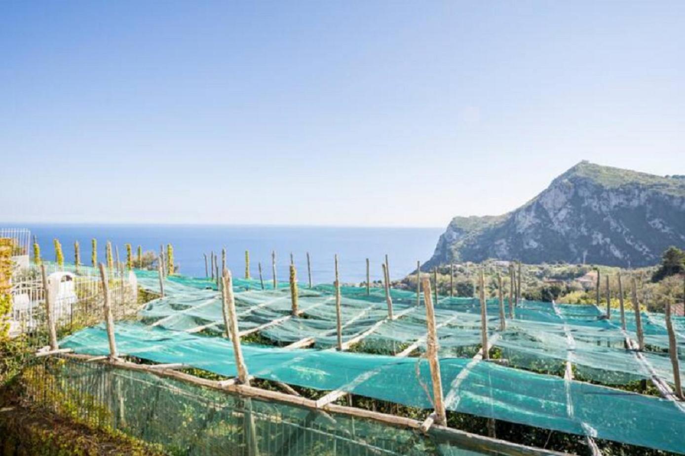 Villa Mariel Suites & Apartment Massa Lubrense Buitenkant foto
